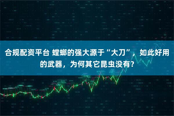 合规配资平台 螳螂的强大源于“大刀”，如此好用的武器，为何其它昆虫没有？