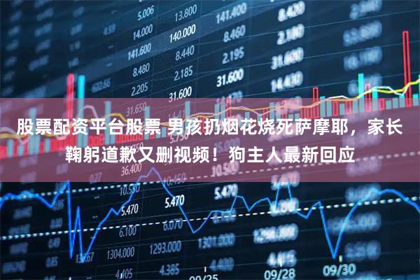 股票配资平台股票 男孩扔烟花烧死萨摩耶，家长鞠躬道歉又删视频！狗主人最新回应